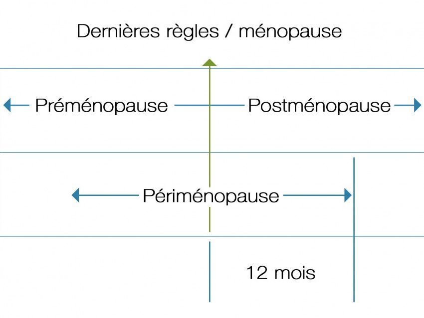 Étapes de la ménopause