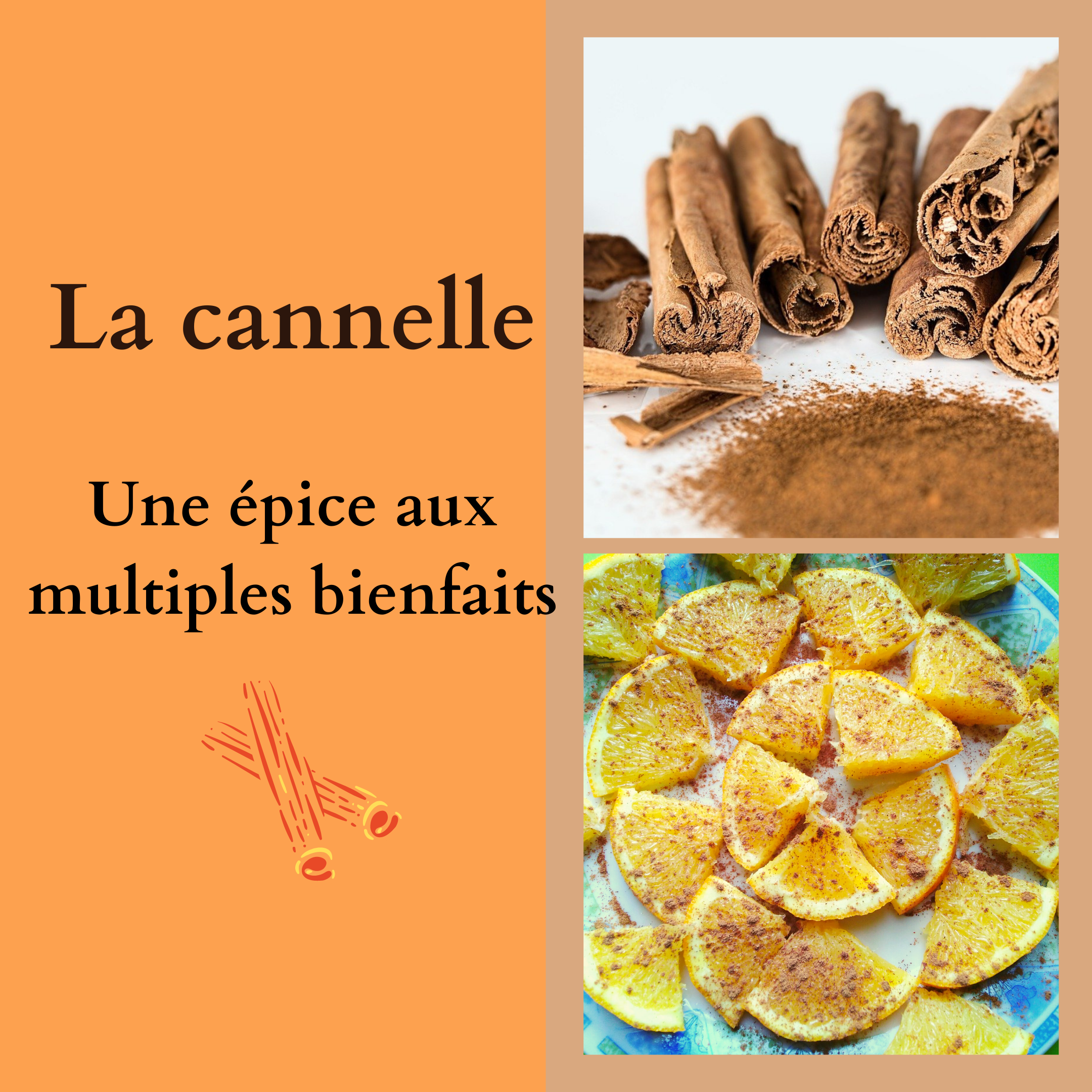 La cannelle