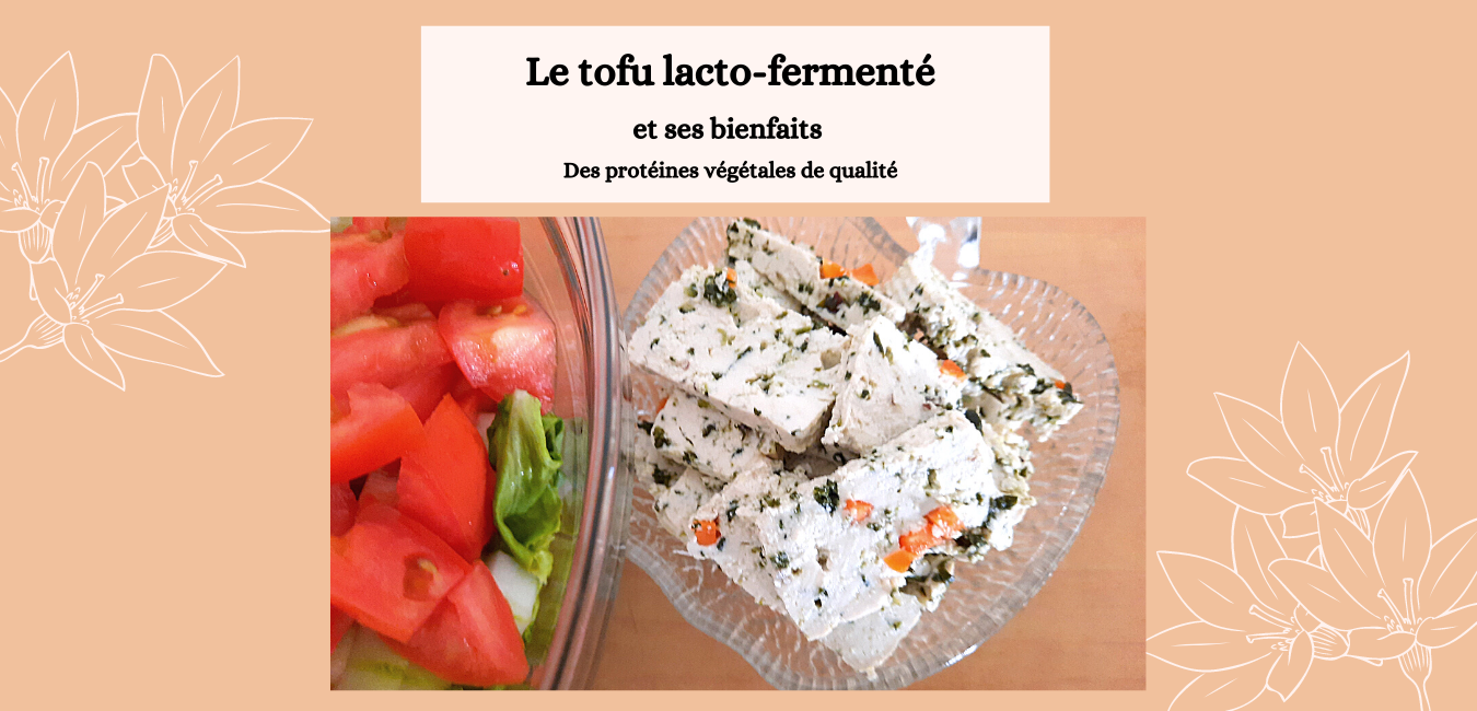 Le tofu lactofermenté et ses bienfaits